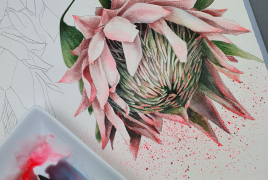 Protea - flower with watercolor