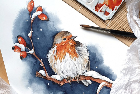 Watercolor Illustration: Robin in Winter