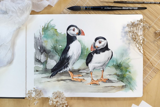 Niedliche Papageientaucher - Schritt für Schritt Illustration mit Aquarellfarben