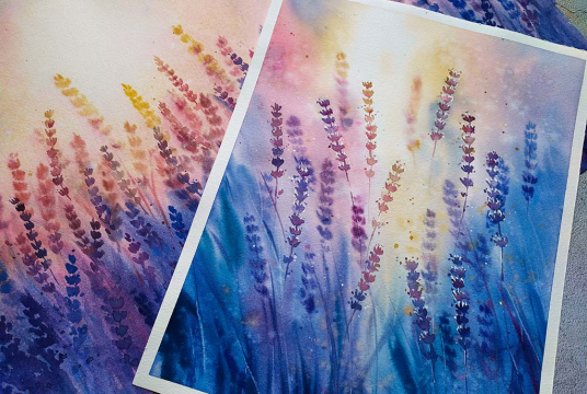 Sunset in Lavender Field: Live Stream For Beginners