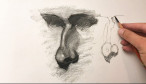Nose Three Quarter: Charcoal Demo