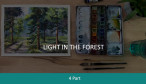 4. Light in the Forest